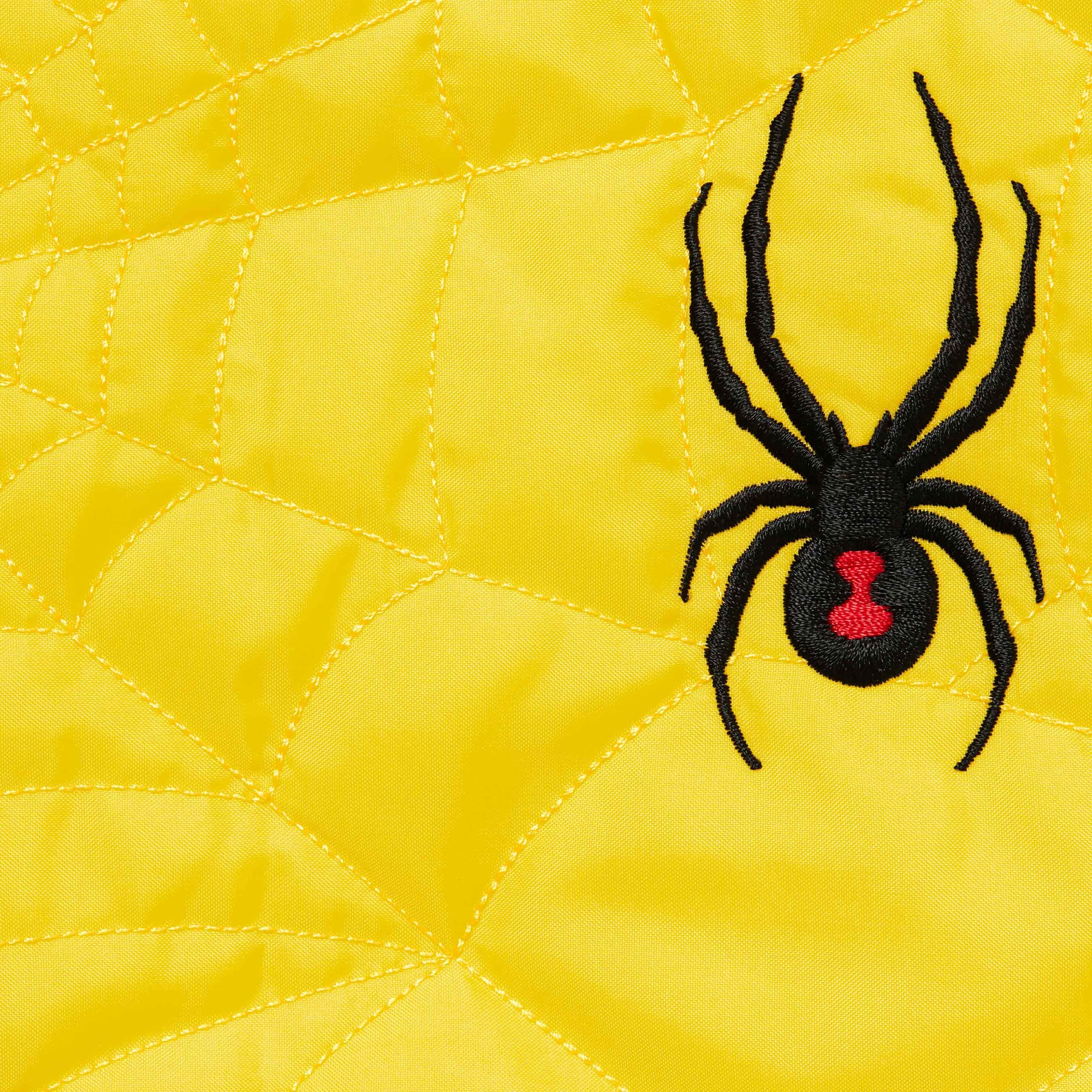 Supreme®/Spyder® Technical Jacket view 25